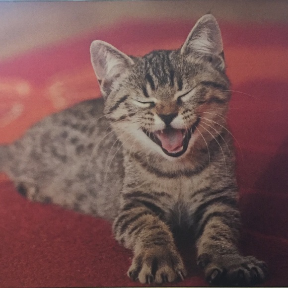 Meet your Posher, Christina - Picture 1 of 1